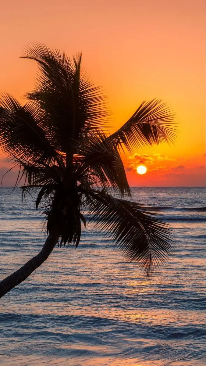 Tamarindo Tours
