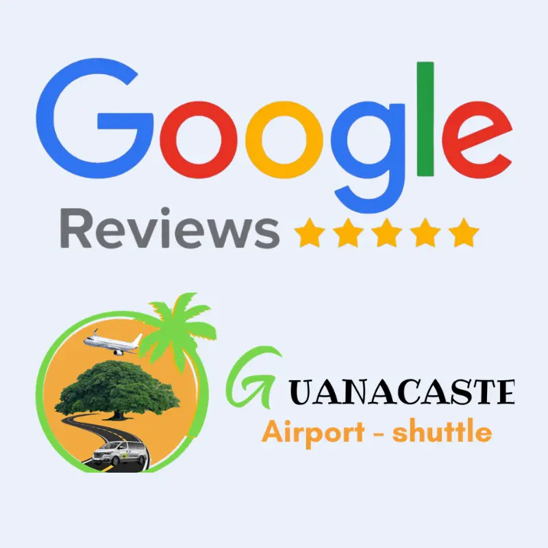 ficha de google prifile