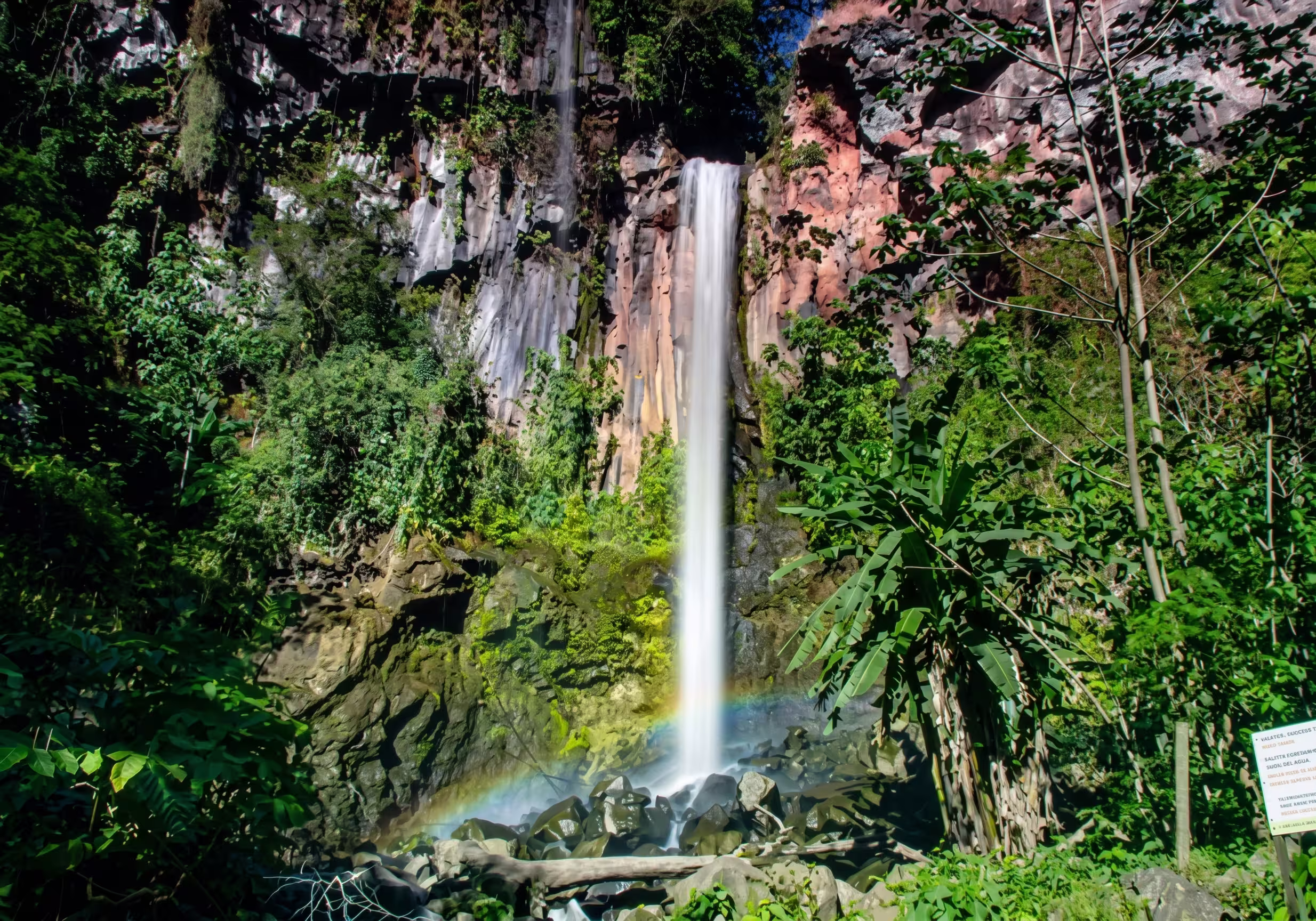 Tropical Rainforest Waterfall with Rainbow