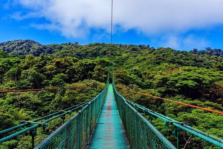 Mistico Hanging Bridges Arenal Canopy Walk Costa Rica