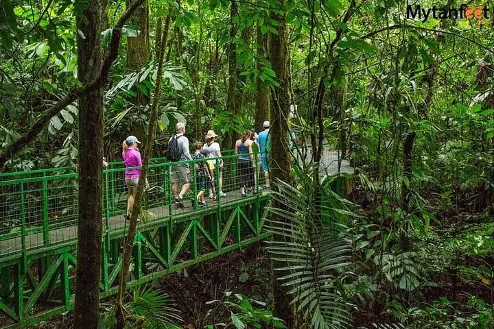 Travelers walking across Mistico Park hanging suspension bridges in Arenal rainforest canopy