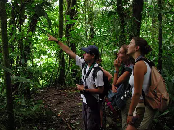 Naturalist guided rainforest wildlife spotting tour in Mistico Park Arenal Costa Rica